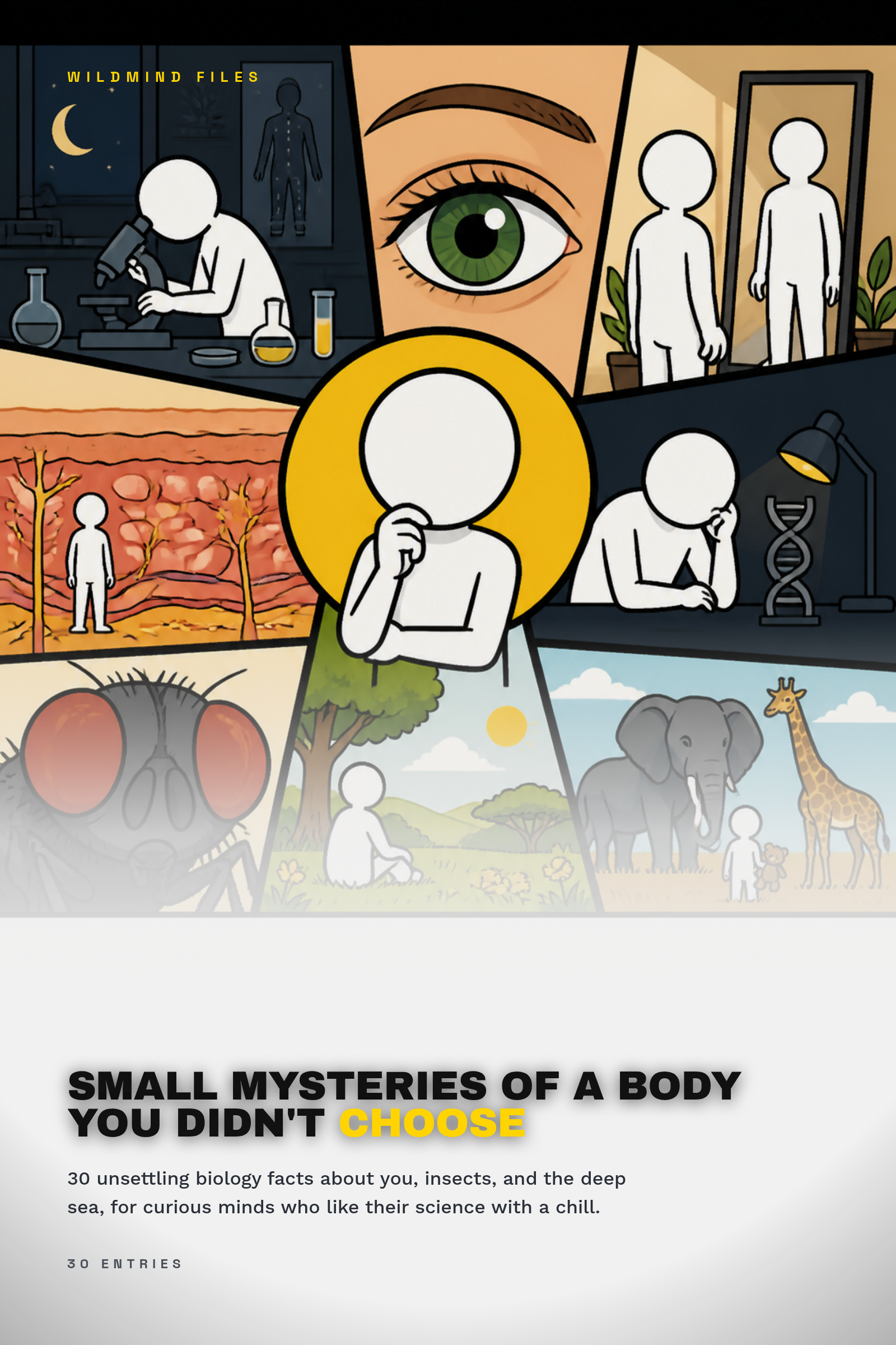 Small Mysteries of a Body You Didn't Choose